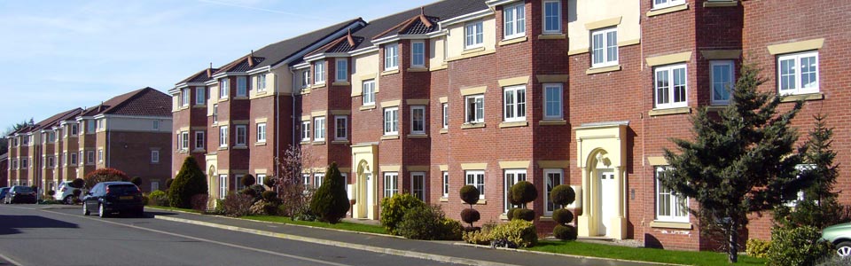 Photo: new housing development